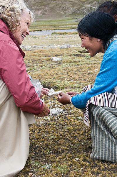 Tending to Their Knitting.jpg